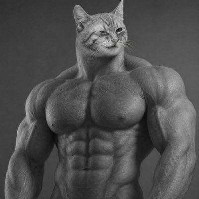 haych's profile picture