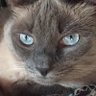 Profilbild von Marr