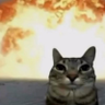 Smedley's profile picture