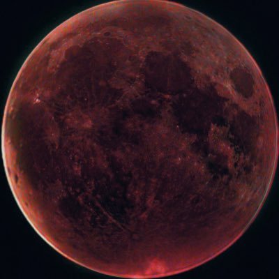 Nitepunk's profile picture