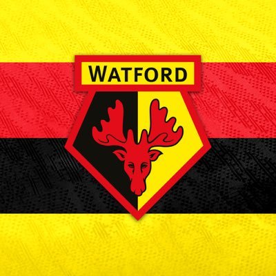 WatfordFC's profile picture