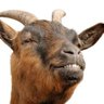 Profilbild von rvnnsy