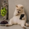 image.me's profile picture
