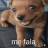Profilbild von o 6 do Corica