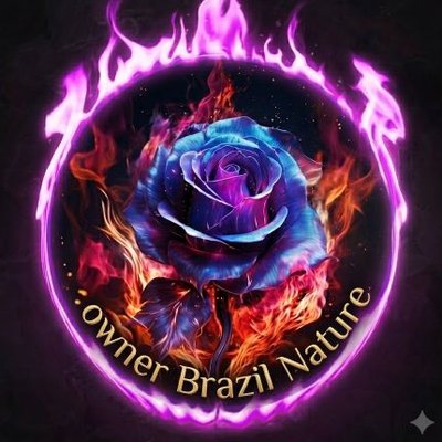itownersbrasil's profile picture