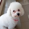 The Power's profile picture