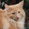 Rod's profile picture