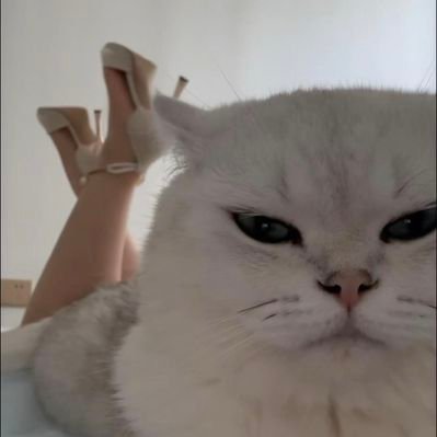 нини's profile picture