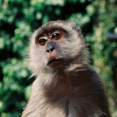 cryptolake's profile picture