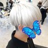 安東🦋🩷🤍ハイネ's profile picture