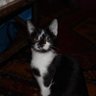 nbil's profile picture