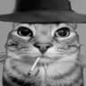 Razgriz01's profile picture