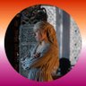 Profilbild von sarah ✵