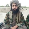 طالب غزنوی 的头像