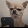 Reeff profil fotoğrafı