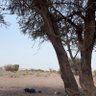 Profilbild von قريب قريب