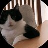 Profilbild von ディカ