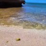 ゆるりん(´・∀・`)さと島🏝🎣 profil fotoğrafı