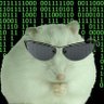 Profilbild von zeitnot