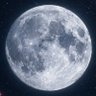 TheMoon's profile picture