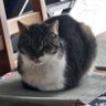 Mai profil fotoğrafı