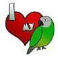 Conure Chick's profile picture
