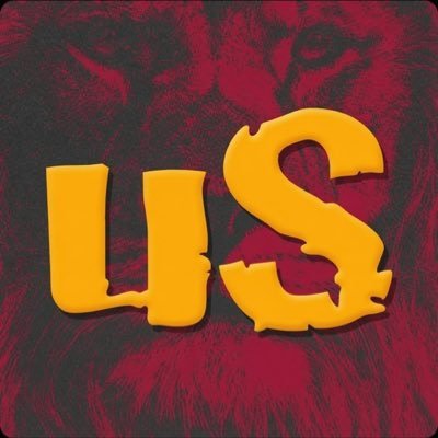 ultraSaray's profile picture