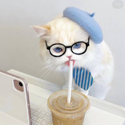 SomOrwyb's profile picture