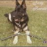 Фото профиля GSD ✝️🇺🇸💎👊🏅🏅🏅🏅🏅