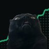 studyingbtc's profile picture