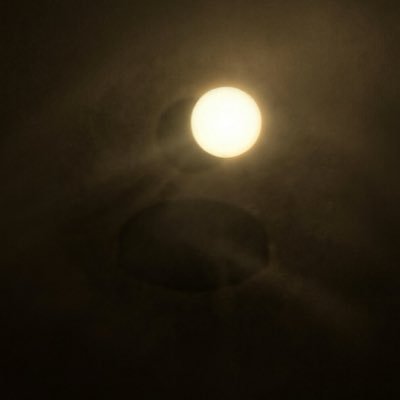 Truth17711's profile picture