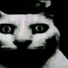 HaageMaru profil fotoğrafı