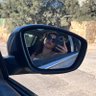 Süpürgesizcadı profil fotoğrafı