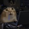 whatyagonnado's profile picture