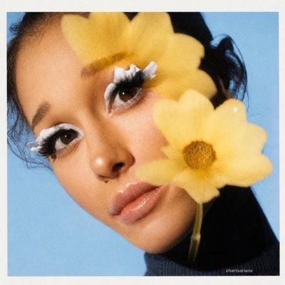 Icarus ꕤ 。˚⋆'s profile picture