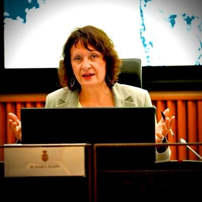 María Marín's profile picture