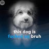 trundles's profile picture