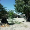 سکندرخیل بدری profil fotoğrafı