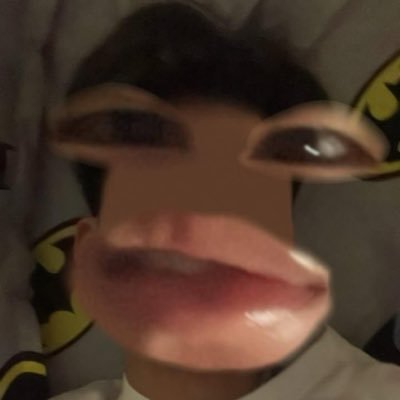 chim trẻ em's profile picture