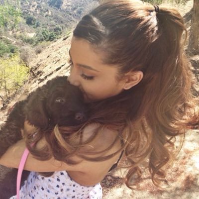 ana ꕤ is seeing ariana's profile picture
