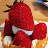 さん姉妹かぁさん 的头像
