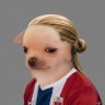 Pedro's profile picture
