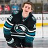Фото профиля LCFJicehockey