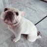 jiakejiaie profil fotoğrafı
