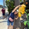 Susie F (No Kings!)🌻🕊🖖✌🌈👩‍🏫♋'s profile picture