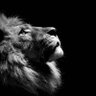 Profilbild von —Change