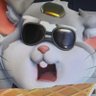引強's profile picture