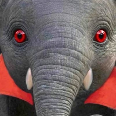 killthedoctors's profile picture