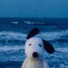 nela's profile picture