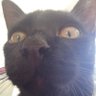marialuana's profile picture